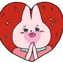 이리온애견펜션 이미지