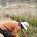 (주)돌담조경