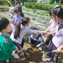 해나농장 이미지