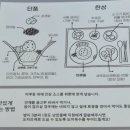 씨유 서울숲L타워점 | 성수동 카이센동/사케동 맛집 '미루성수' 솔직후기 (주차/웨이팅 꿀팁)