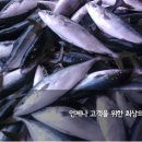 동진상회 이미지