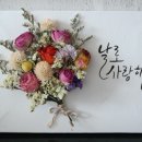 땡글땡굴 이미지