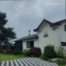 호영이네 하우스 네이버블로그