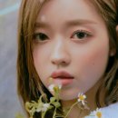 지운 이미지