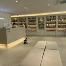 더 포레 동물병원 이미지