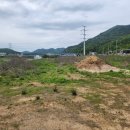 생림대로 이미지