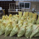 봉화랜드 이미지