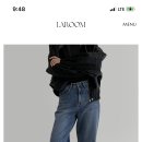 리파잘유