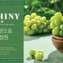 애슐리퀸즈 엔터식스 안양점 이미지