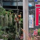 크로키아 이미지