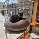 바우공인중개사사무소 이미지