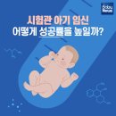 '시험관 아기' 성공률, 어떻게 높일까? 이미지