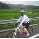 목천IC주유소 이미지