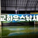 동교하우스낚시터