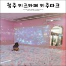 청주 키주파크 청주키즈카페 가족 함께 신나게 놀아요!