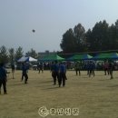 입장중학교 이미지