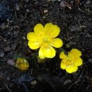 정봉농장 이미지