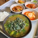 진국 티스토리