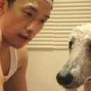 애견사랑 이미지