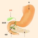 쓸개병인 이미지