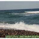 동해바다처럼 이미지