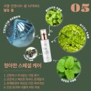 지엘(xiel) 네이버블로그