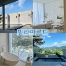 [충북펜션] 충청도단양수영장과사우나가있는 깔끔한감성 프리미엄풀빌라 ‘빌라마르디’후기