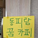 동피랑꿈카페 이미지