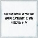 용산종합동물병원 이미지