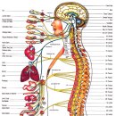 봄뜰부부한의원 이미지