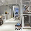 리리랜드 이미지