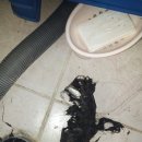 관악모터 이미지