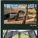 쉘터