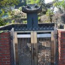 낙동강남지유채마을협동조합 이미지