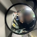 자성로 | 24. 잘가라 2025년