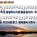 작은불꽃
