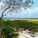 국익환경자원 이미지