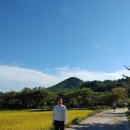 고성 1 공인중개사사무소 이미지