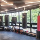 L 복싱 GYM 이미지
