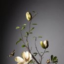 화훼장식 기능사(꽃꽂이) 이미지