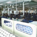 교도소 등 취약계층에게도 고용서비스를 제공했다. 이미지