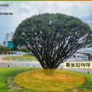 생활속의 조경이야기 이미지