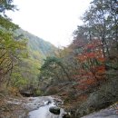 수룡봉황길 이미지