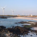 애리네식당 이미지