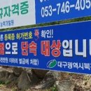 인지직업소개소