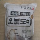 엄마들의 유쾌한 반란 | 현미 대신 한음미가 우리쌀 생미 신동진 오분도미 내돈내산 후기(밥 짓는 법)