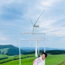 연일목장 이미지