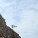 서산 황금산 몽돌해변 코끼리바위 이미지