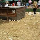 삼정동물병원 이미지