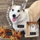 강릉자유푸드뱅크 | 강릉 애견동반 여행 #1. 26년 첫 여행은 강릉! 3년 전 추억을 되새기며 가보자구